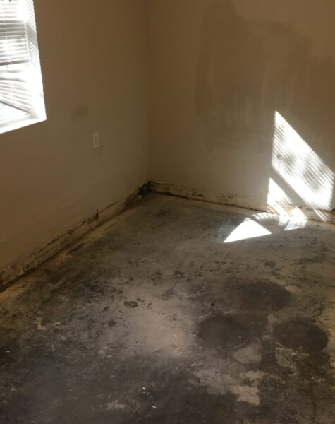 Flood restoration of rental property