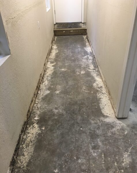Flood restoration of rental property